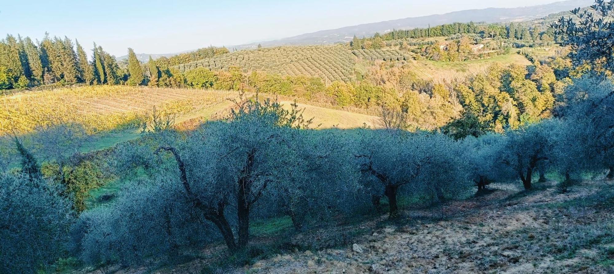 Casa Orneto Villa Poggibonsi Kültér fotó
