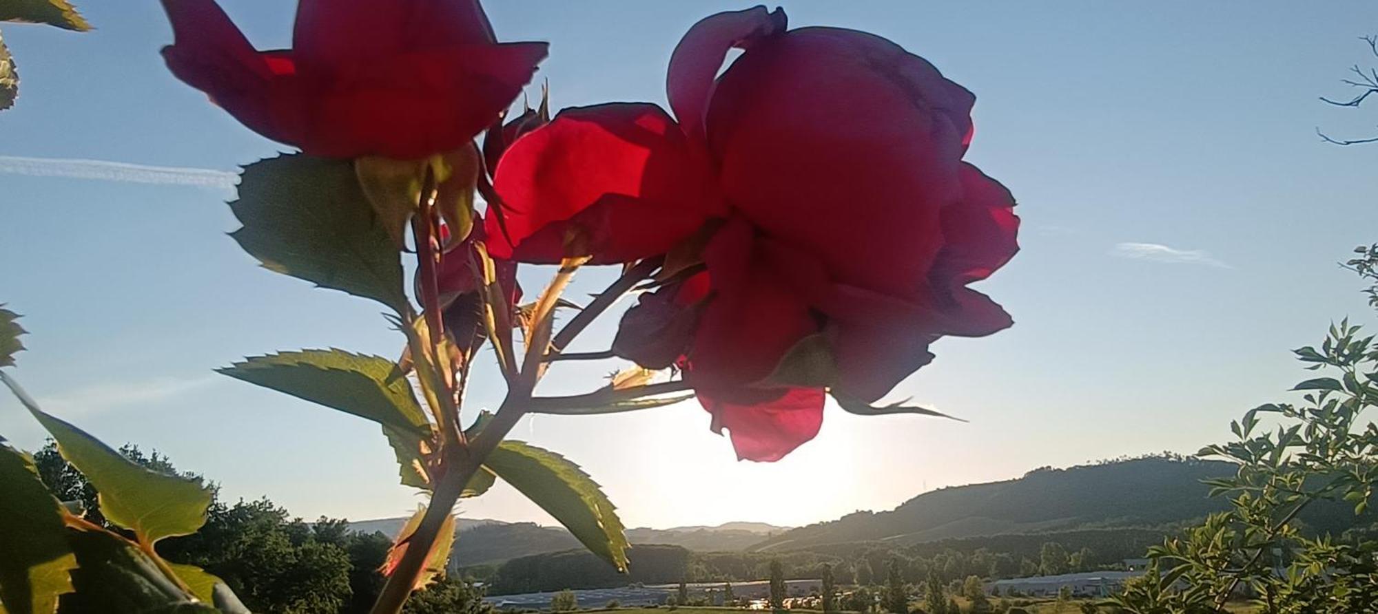 Casa Orneto Villa Poggibonsi Kültér fotó